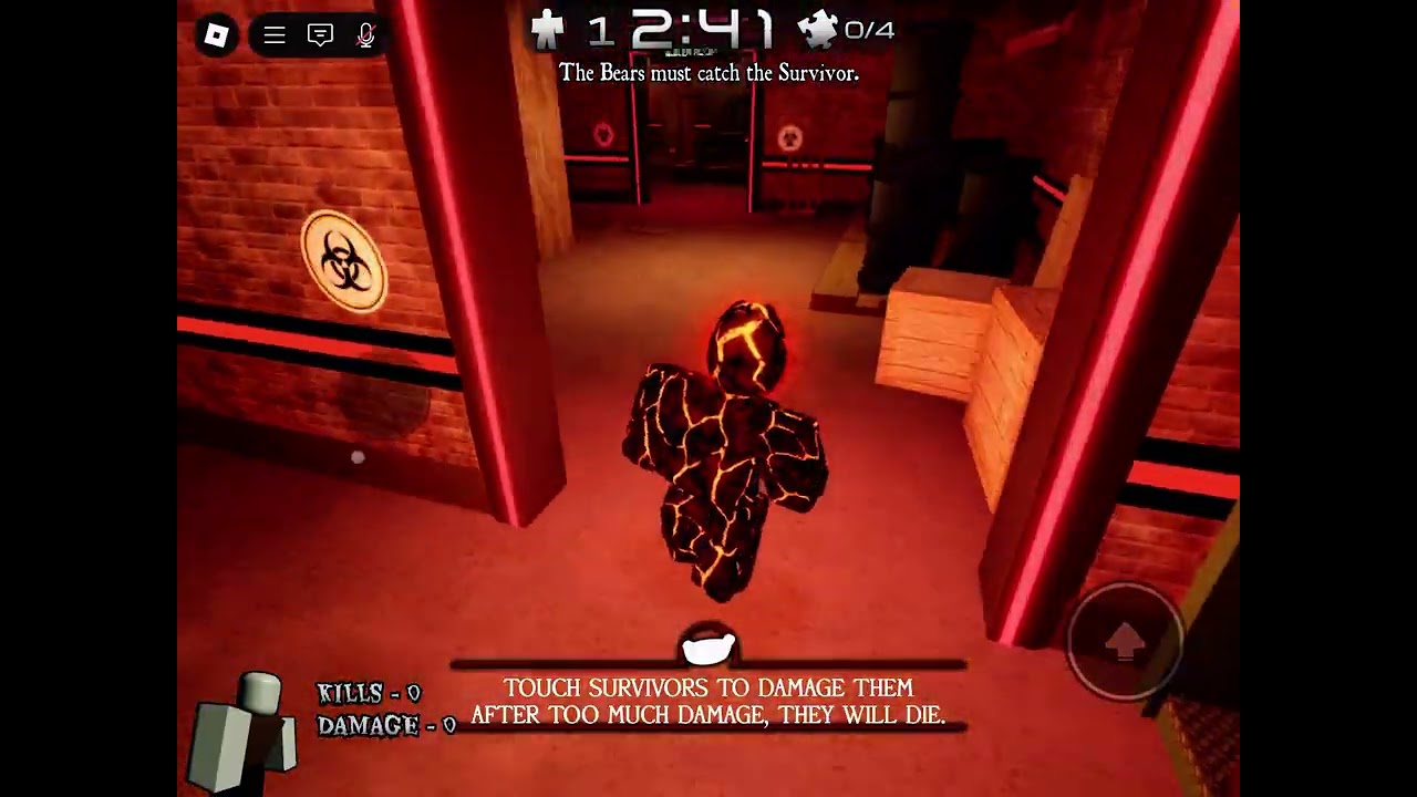PLAYING BEAR*
