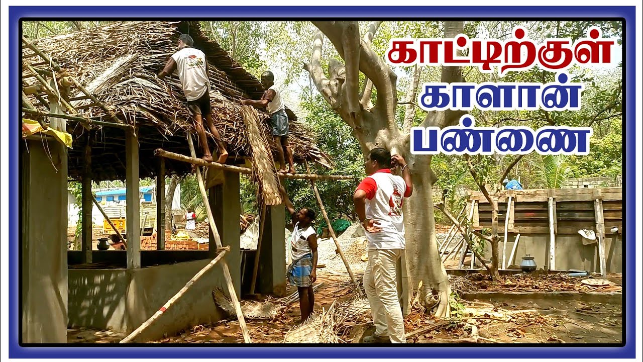 காட்டிற்குள் காளான் பண்ணை