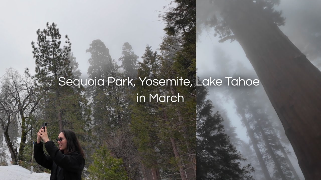 sequoia park, yosemite, lake tahoe in march. california road trip