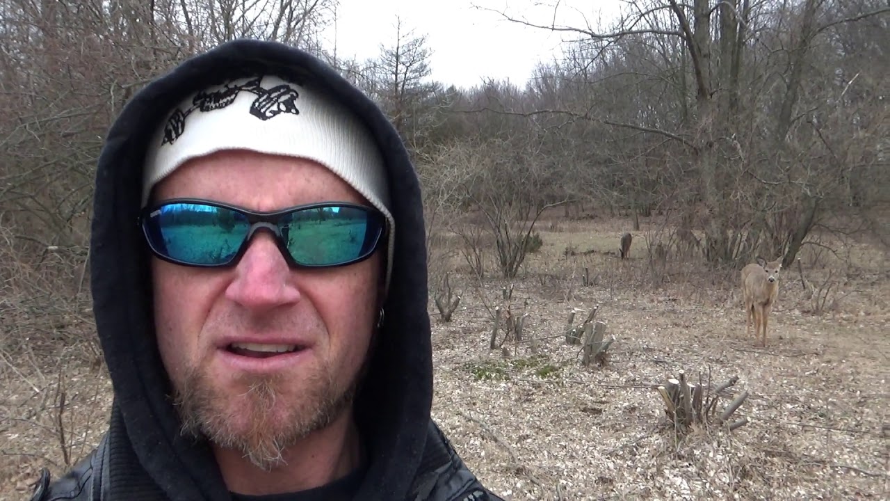 Kevin Frasard VLOG - Story Time + My Walk In The Park