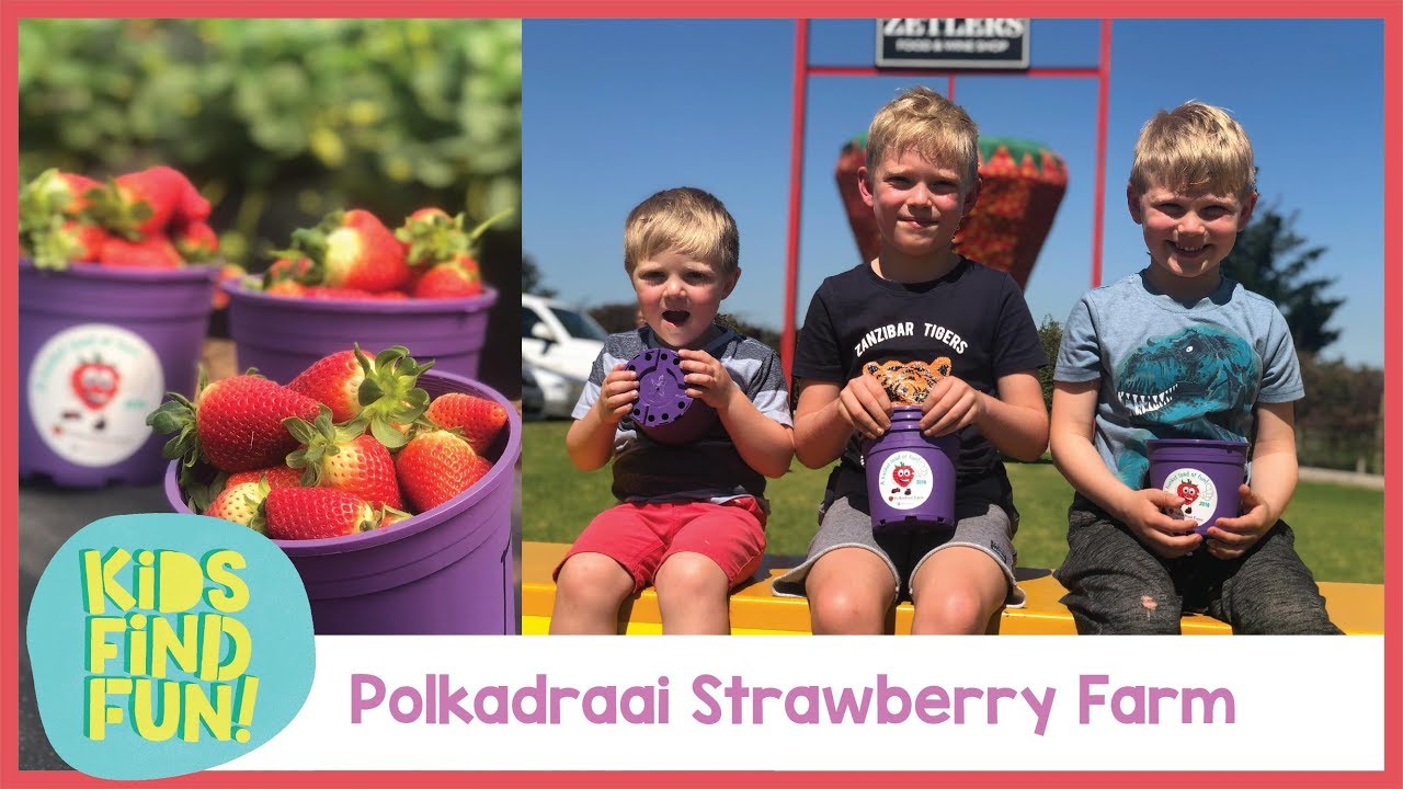 Strawberry Farm – Kids Find Fun Picking Strawberries at Polkadraai Farm (Episode 18)