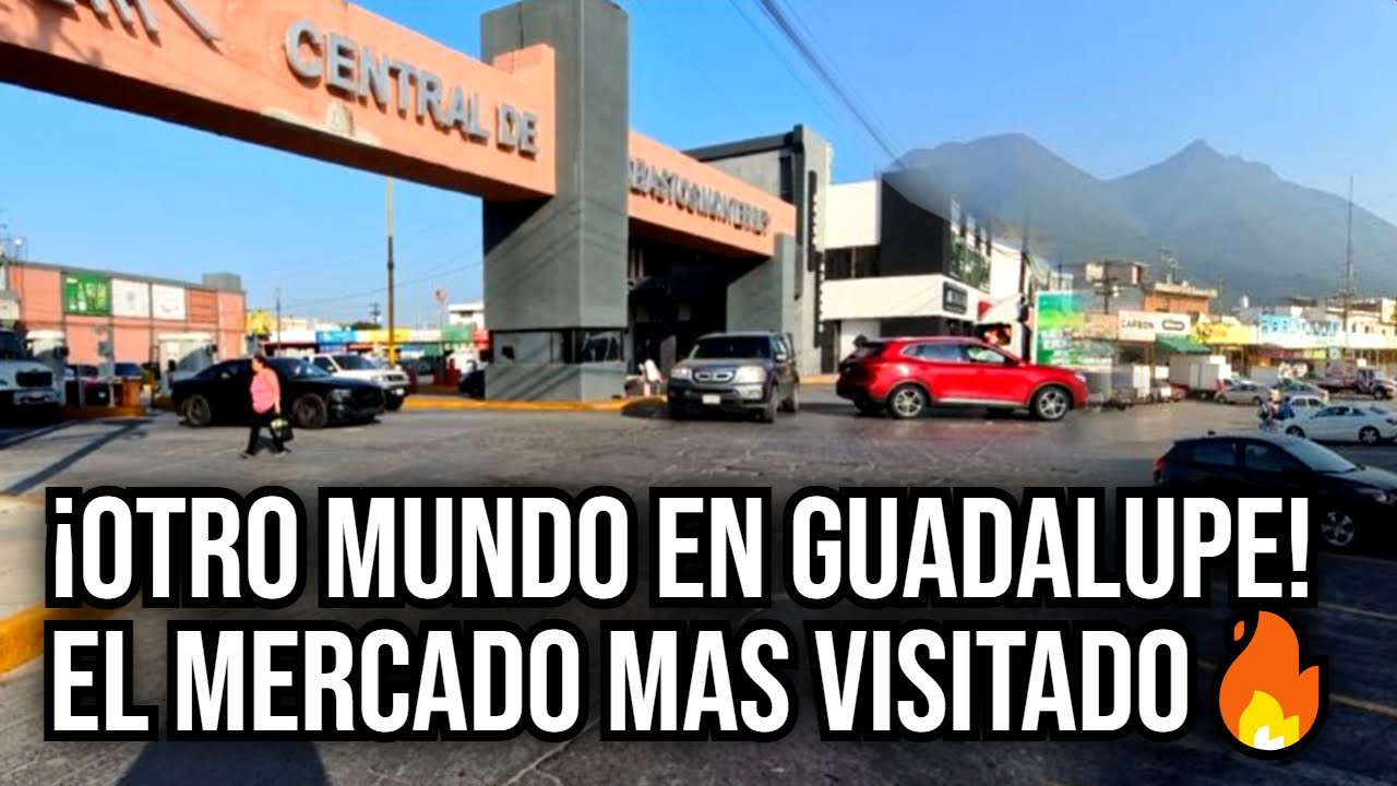 ¡GUADALUPE TIENE SU PROPIO MUNDO! 🌎🔥 Lo que pasa en el Mercado Central de Abastos VENDEN DE TODO 😱