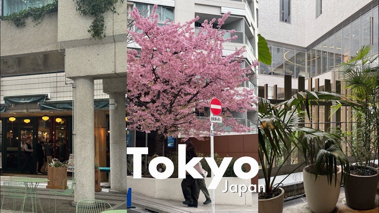 여자 혼자 도쿄 여행 3박 4일🗼 | 긴자 • 다이칸야마, 현지 느낌 코스, 느좋 소품 쇼핑, 아시아나 A380 비즈니스 클래스