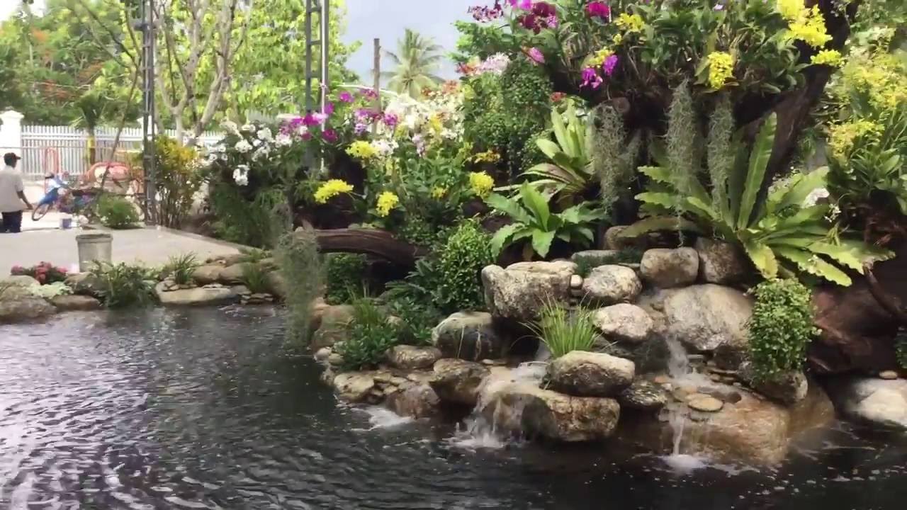 HỒ KOI ĐẸP NHÀ ANH VIỆT DẦU TIẾNG NGÀY THẢ CÁ ĐẦU TIÊN . 23/6/2016