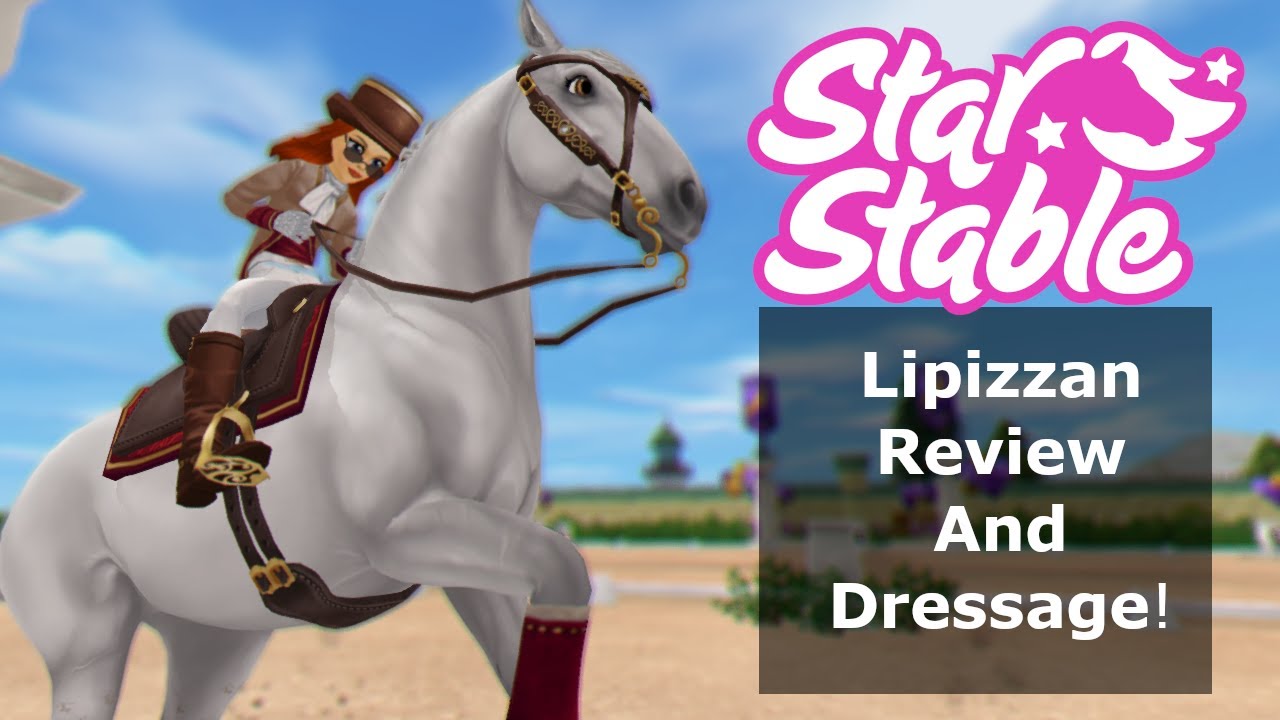 SSO Lipizzan and Dressage!