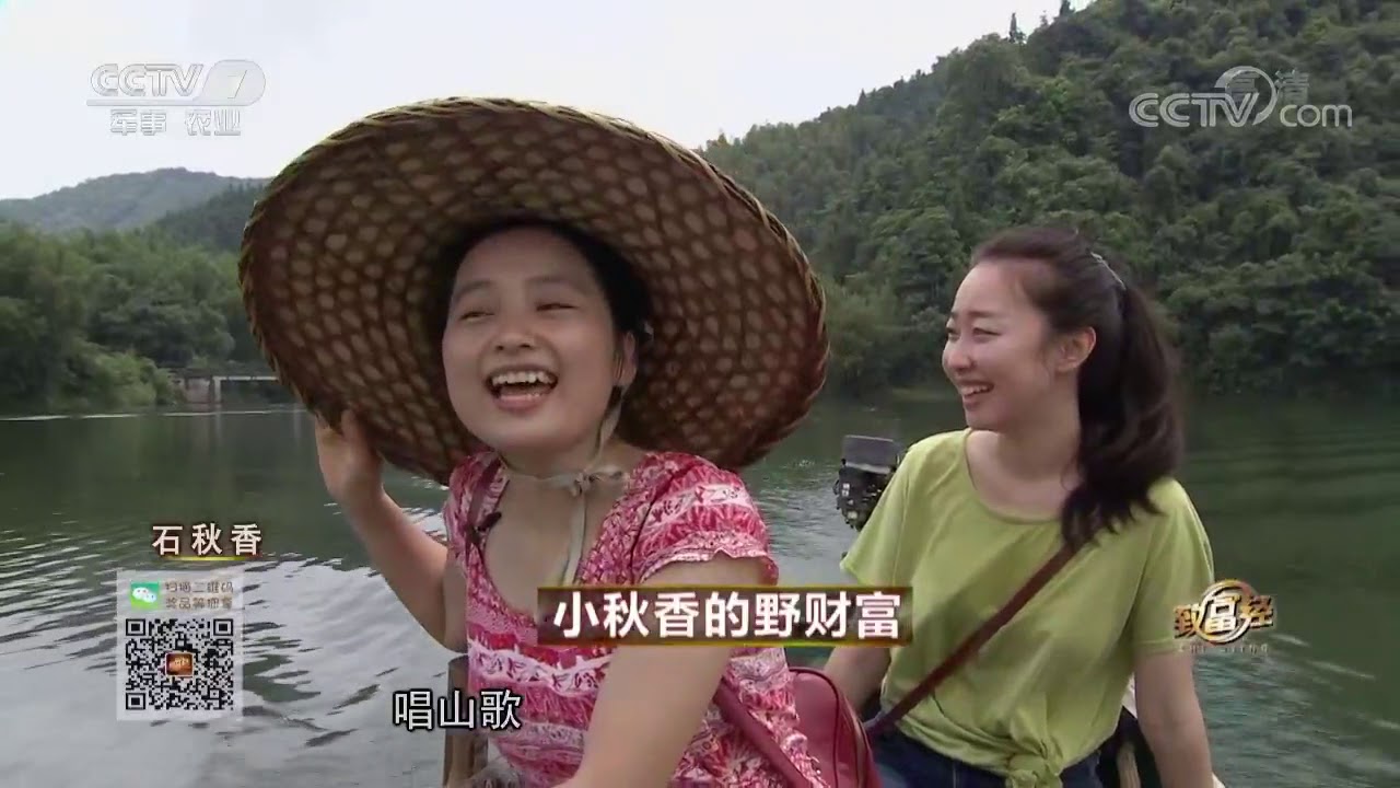 20170911 致富经  小秋香的野财富