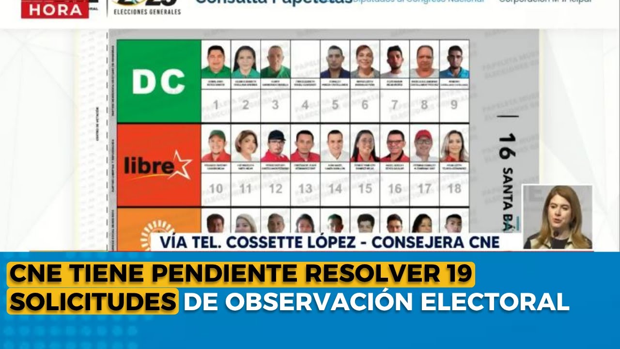 CNE tiene pendiente resolver 19 solicitudes de observación electoral