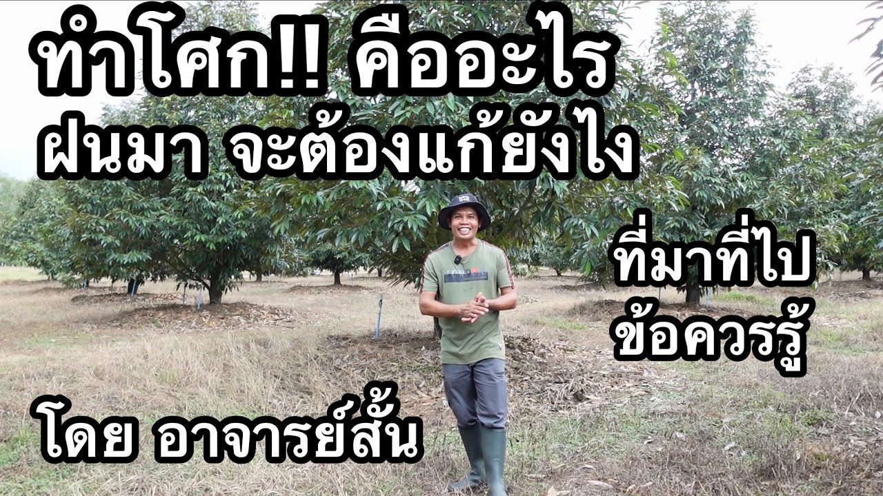 ทำโศกคืออะไร ฝนตกระหว่างนั้นรับมือยังไง ที่มาที่ไปและข้อควรรู้ | อาจารย์สั้น