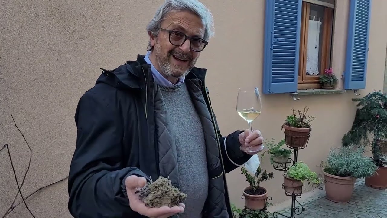 Farina di Basalto® - video: VINO E SUOLO una relazione virtuosa e indissolubile