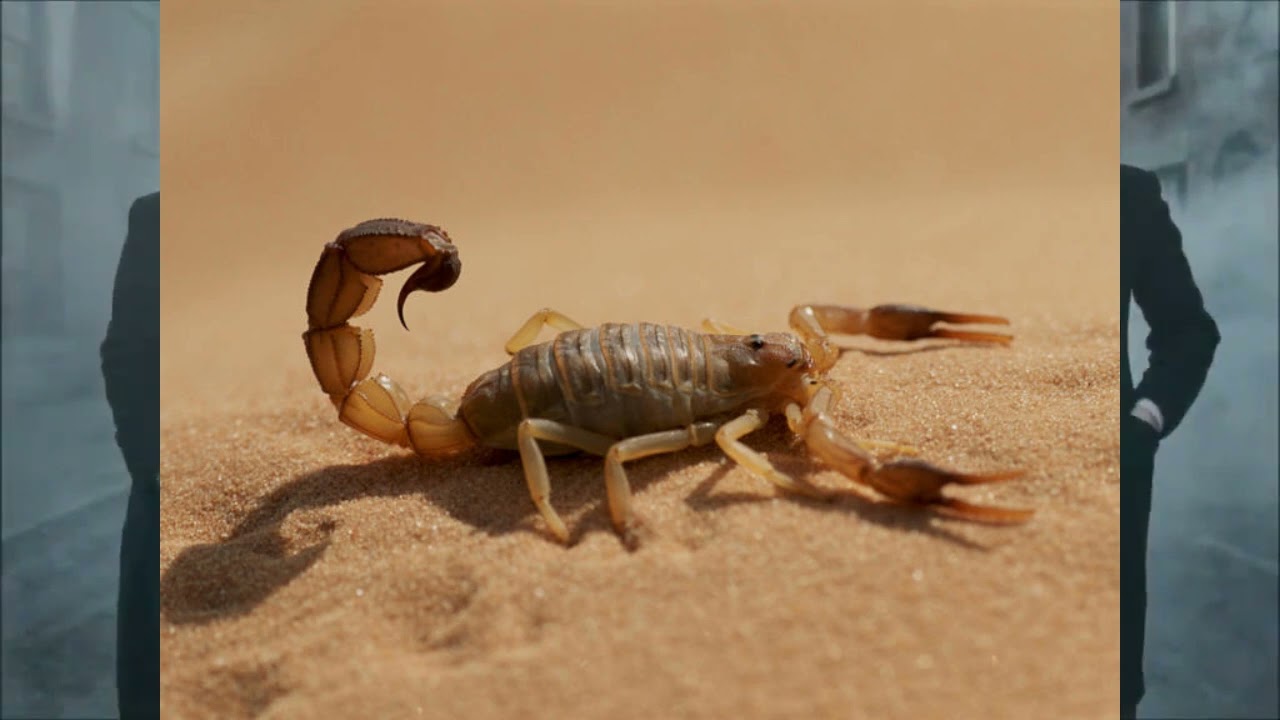 "In These Streets"/ Z-Ro ft Nino Brown/ One Deep Entertainment Remix "Minding My Business"  -Azulka)