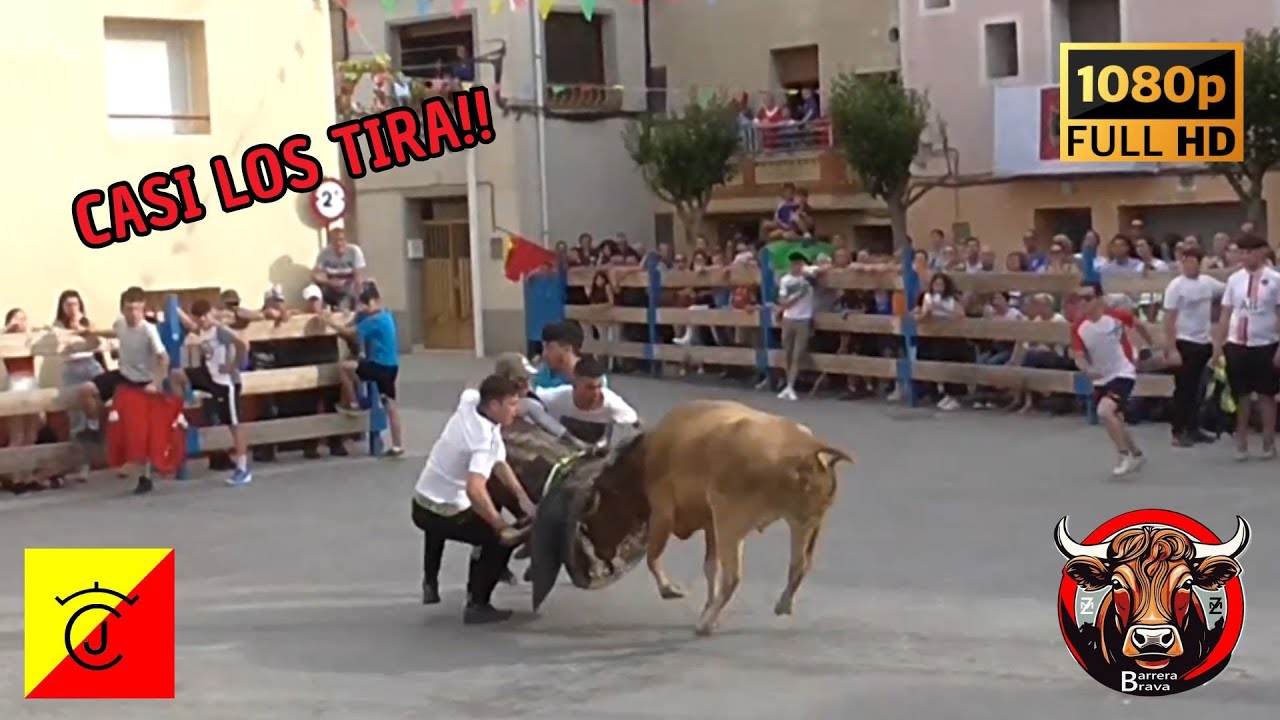 Boquiñeni. Vacas en Calle y Plaza | 26/05/2024 | Ganad. José Luis Cuartero