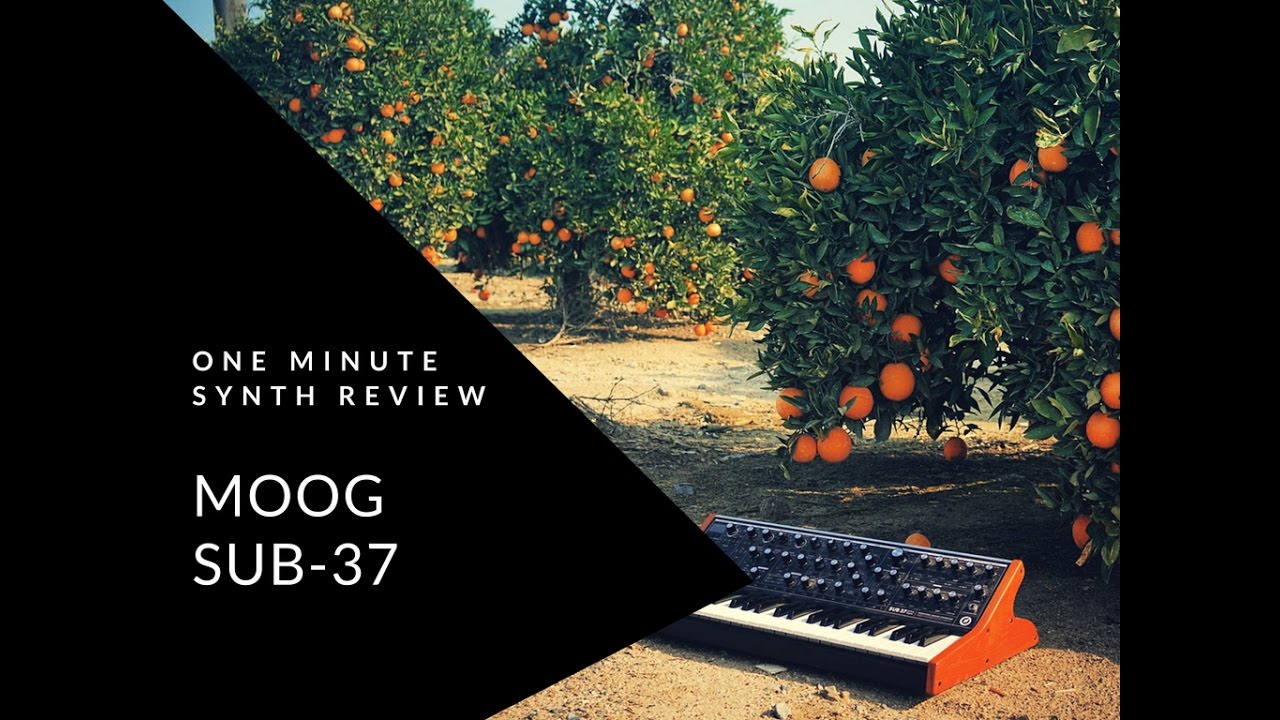 ONE MINUTE SYNTH REVIEW!!! Ep. 3 MOOG SUB 37