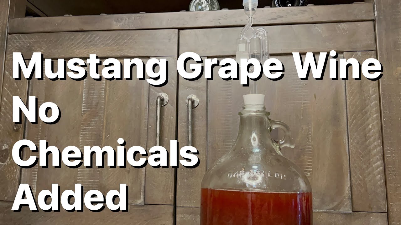 Mustang Grape Wine