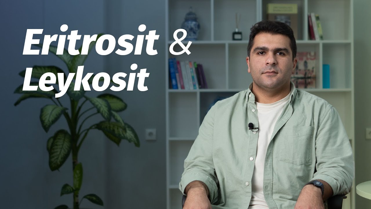 Sidikdə leykosit və eritrosit çıxarsa neyləmək lazımdır? #DrİlkinGöyüşov #SidikAnalizi