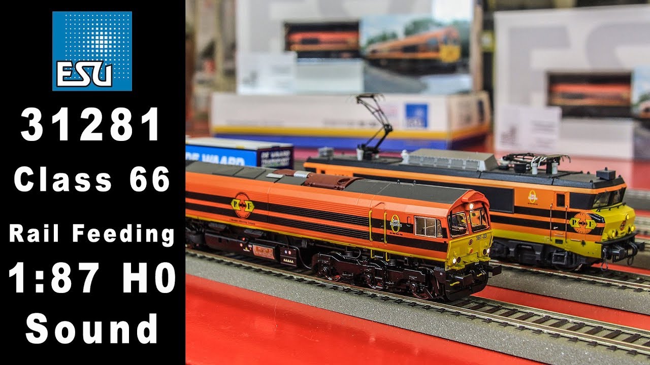 ESU 31281. Class 66. Rail Feeding 561-03 