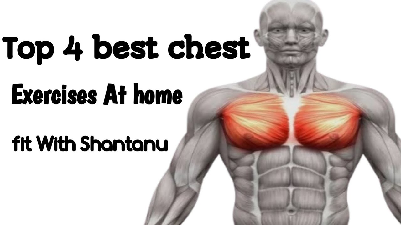 Top 4 Best Chest Exercise At Home / ghar per chest ka workout kaise kare? #chest #workout 