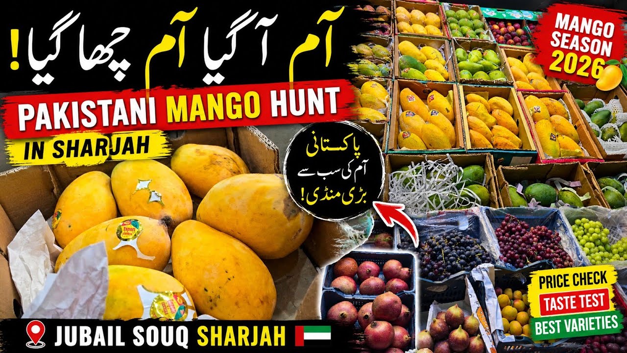 Pakistani Mango Hunt in Sharjah 🇵🇰🥭 | Jubail Souq Mango Season 2026