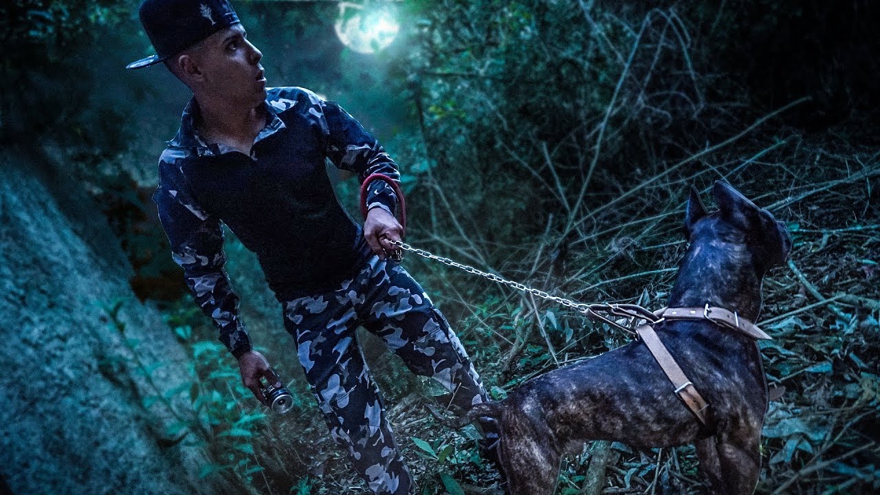 LEVEI MEU CACHORRO NA CRIATURA