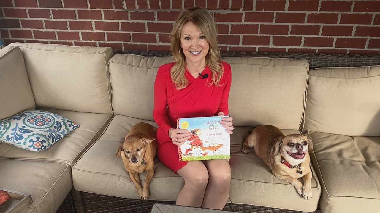 Story Time on the Back Porch: Ladybug Girl and the Rescue Dogs