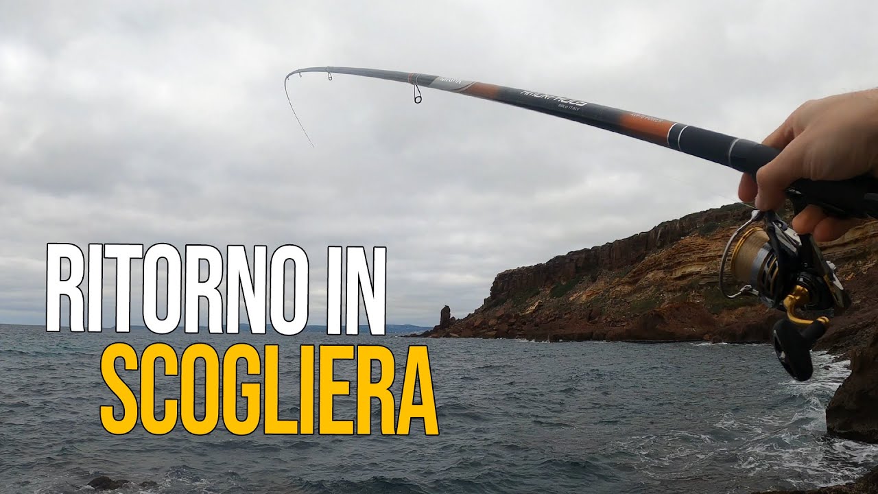 Pesca Bolognese | Ritorno in Scogliera ed esce il MOSTRO - Un Combattimento EPICO tra gli Scogli!!