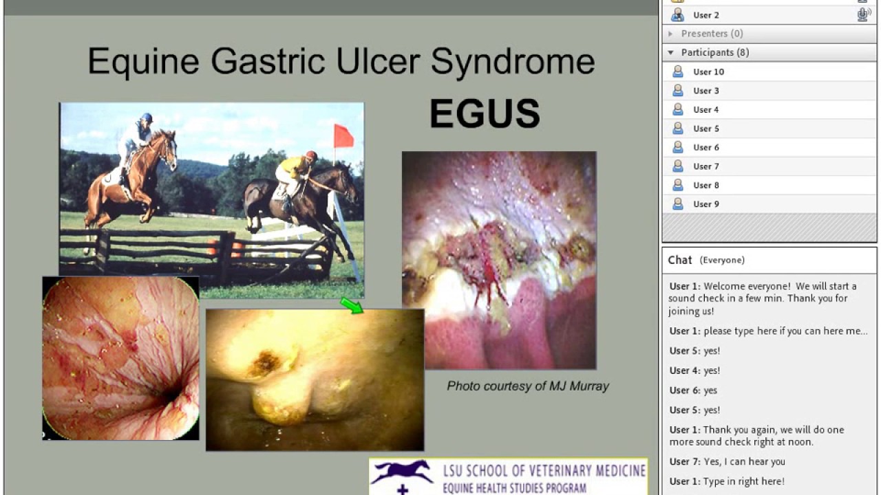 Gastric Ulcers - A Webinar from Rutgers Equine Science Center