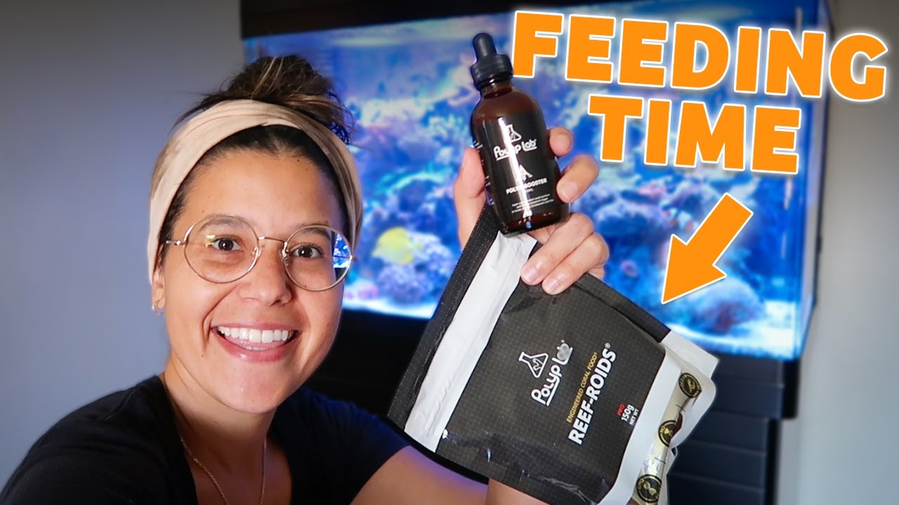 Target Feeding Experience with POLYP BOOSTER and REEF ROIDS!!