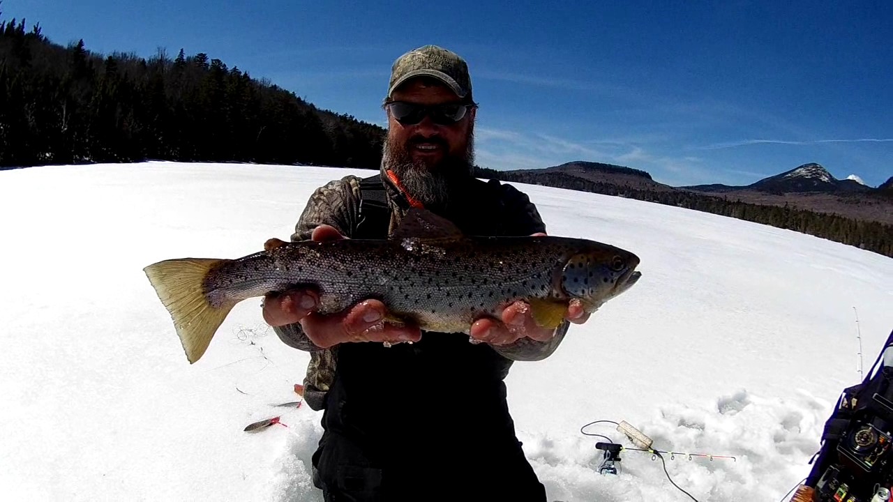 Brown Trout - Spring Ice Fishing in Stark New Hampshire - NH