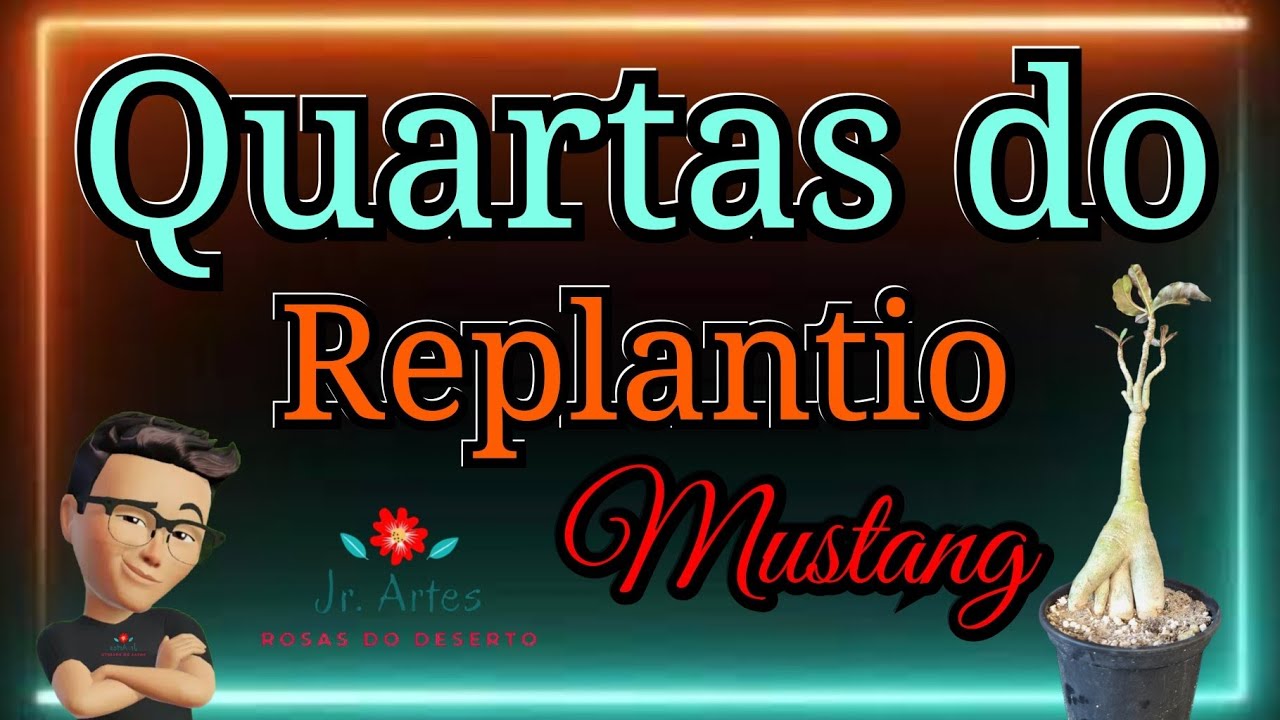 Quartas do Replantio: Mustang