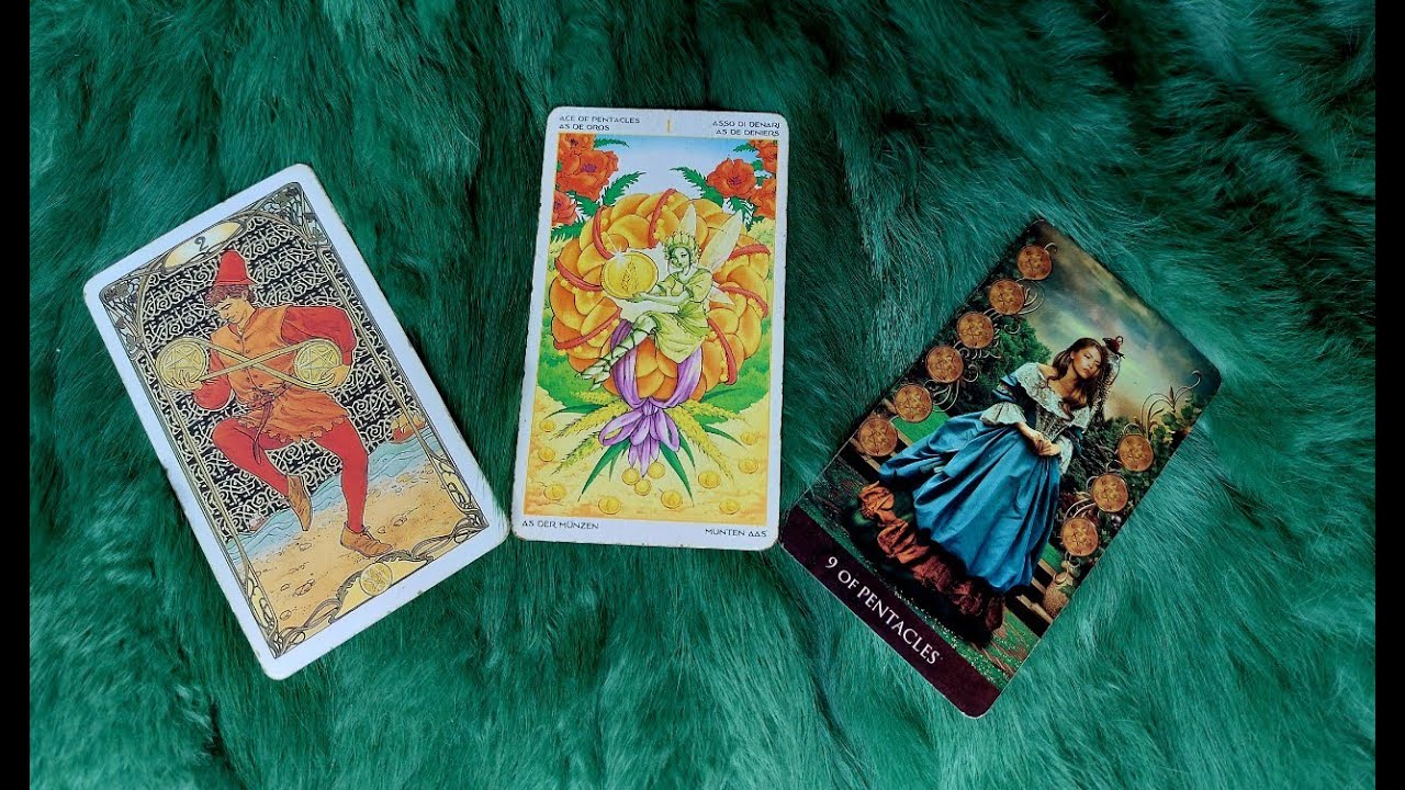 TÂM CAN CỦA HỌ DÀNH CHO BẠN LÚC NÀY? HÀNH ĐỘNG TIẾP THEO? @EvelynTarot