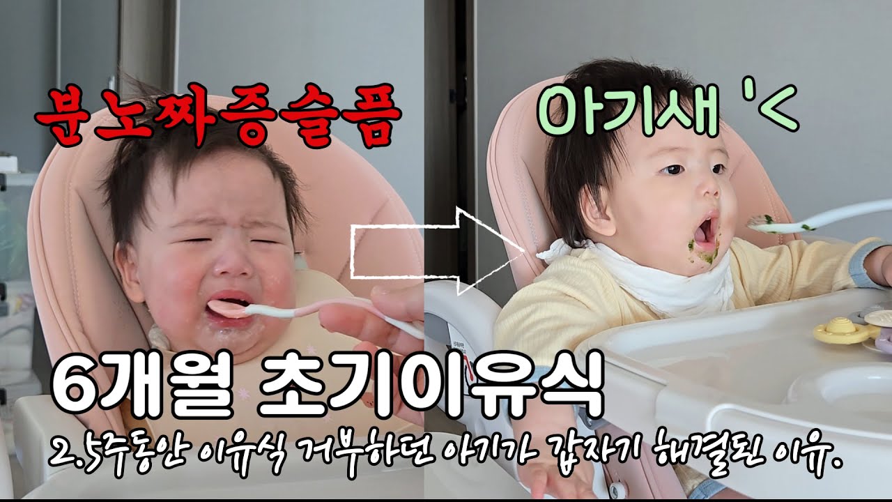 6개월아기 이유식거부 하루만에 해결..?