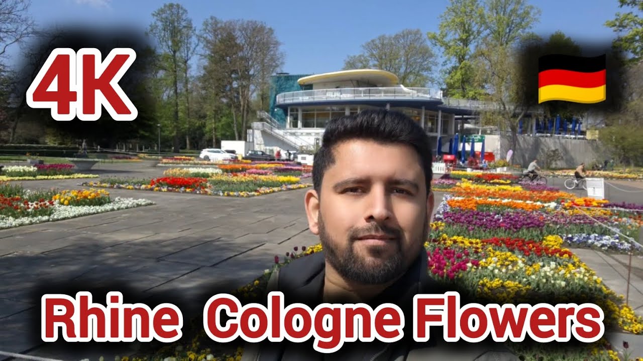 4K Videos . Rhine, Cologne Flowers, park, and peaceful vibes 🌸✨