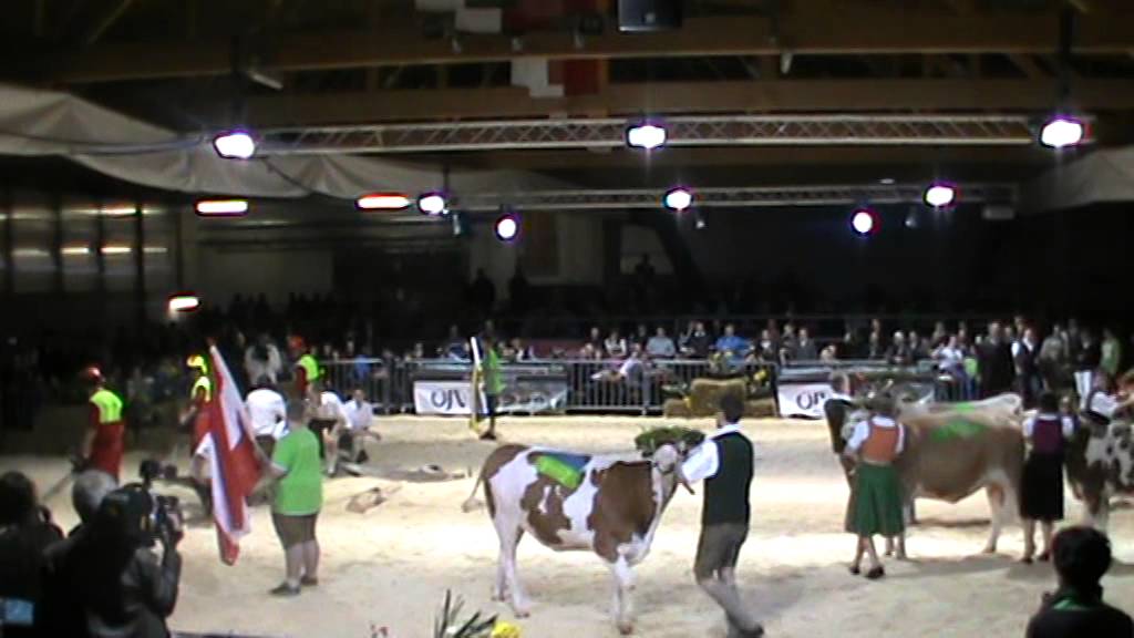 LFS Hohenlehen siegt beim Bundesjungzüchterchampionat 2014