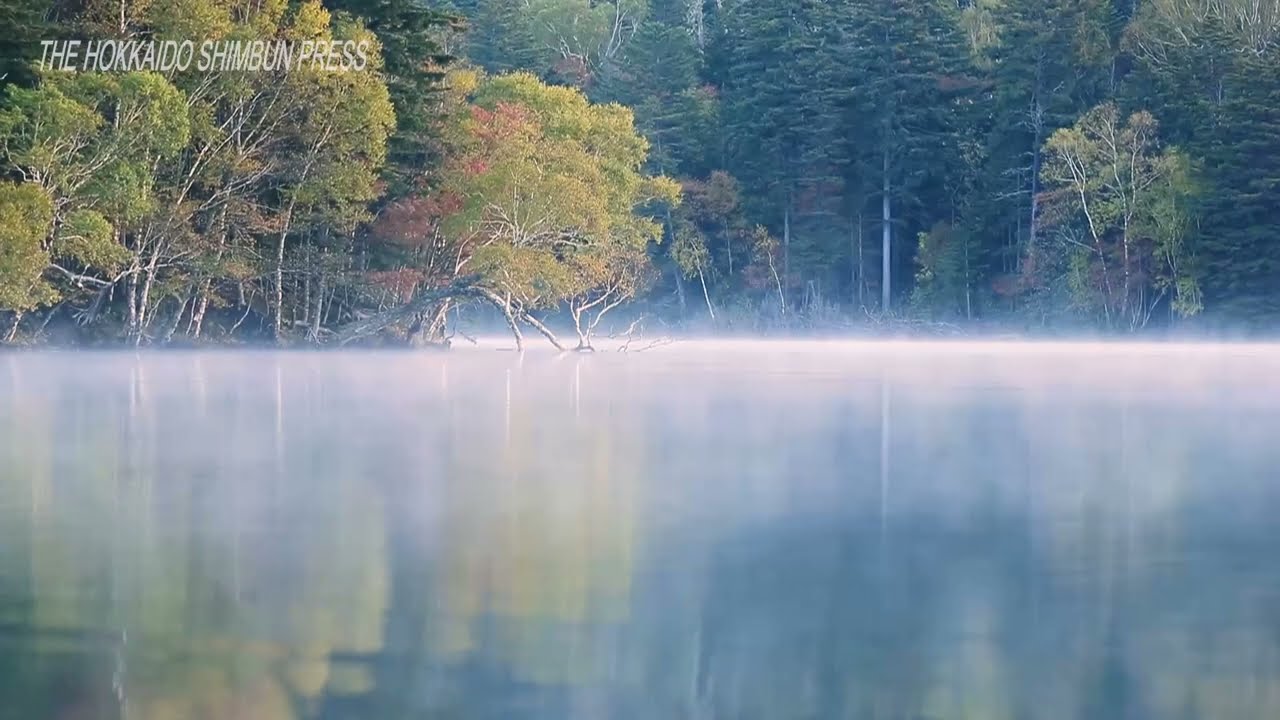 The season of autumn leaves that color the morning mist on the Onneto lake surface 20221029