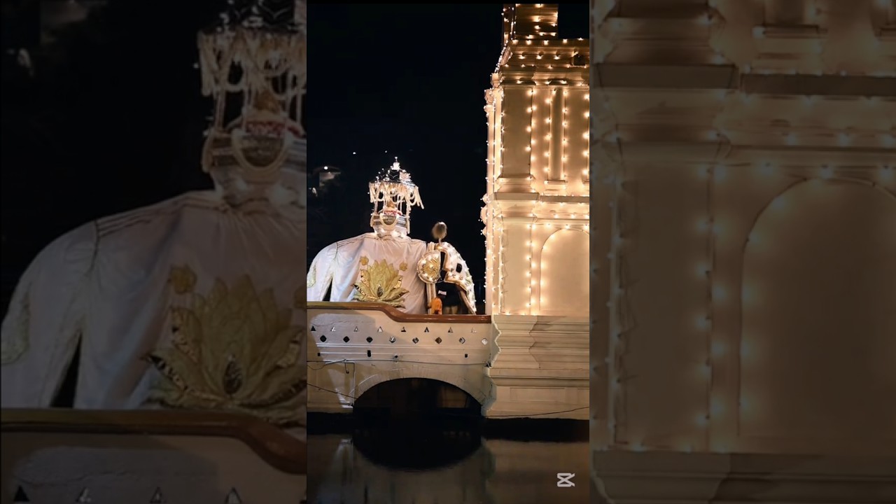 Kandy Esala Perahera 2025 &ndash; Majestic Parade of Elephants & Culture! #Perahera #kandy #elephant #eco