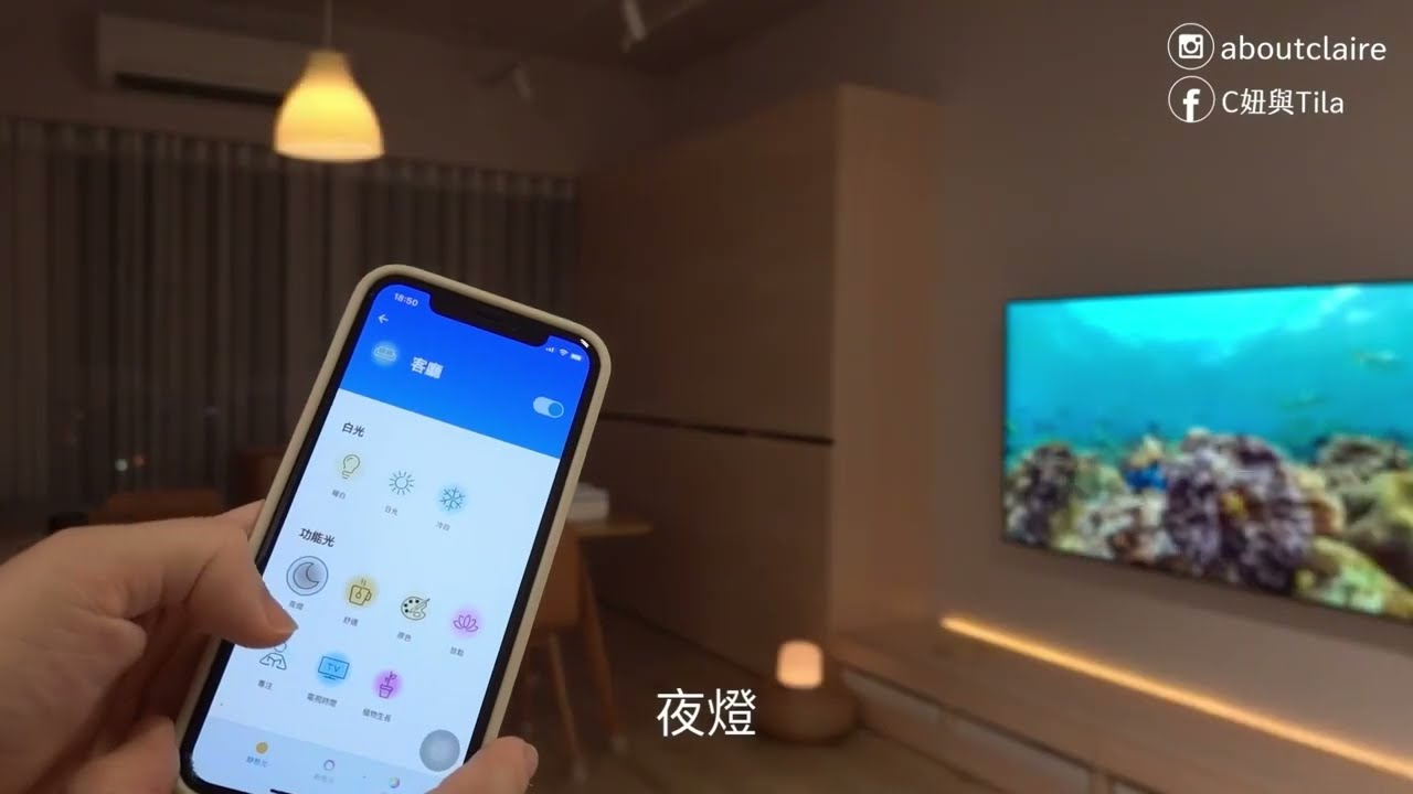 WiZ 實際使用分享