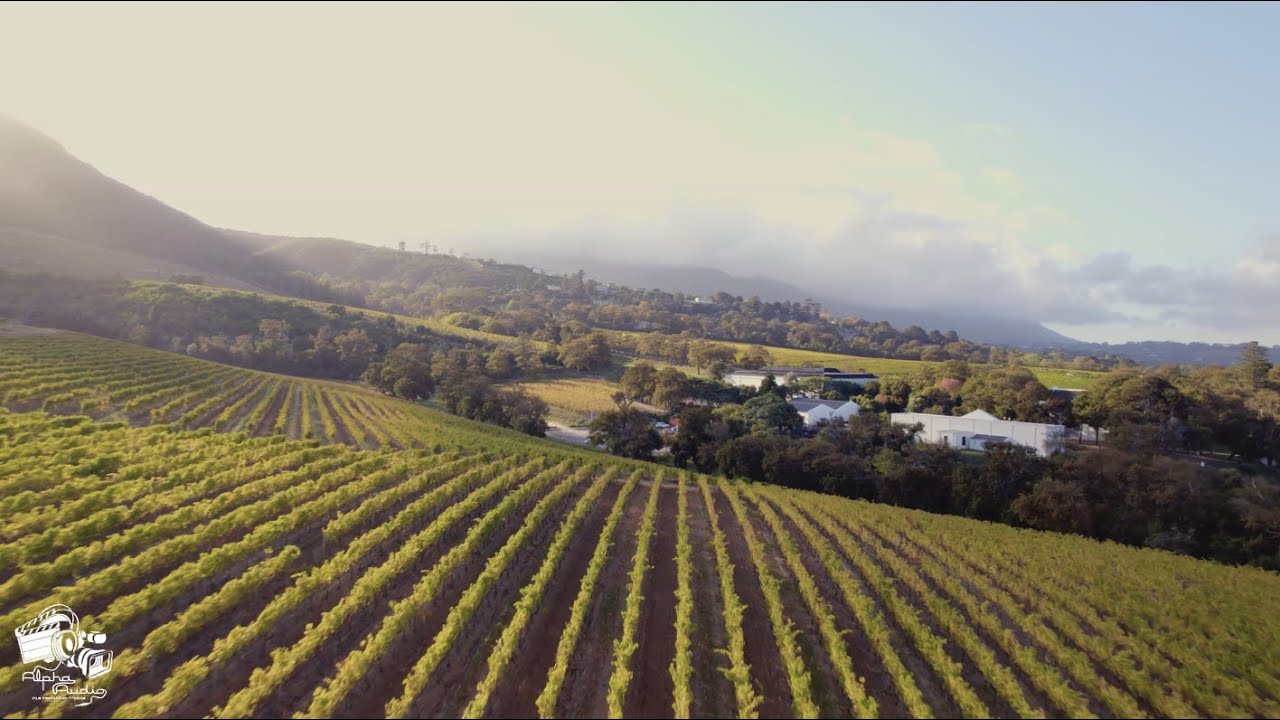 Groot Constantia Capetown