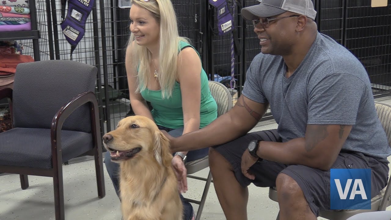 Paws For Purple Hearts
