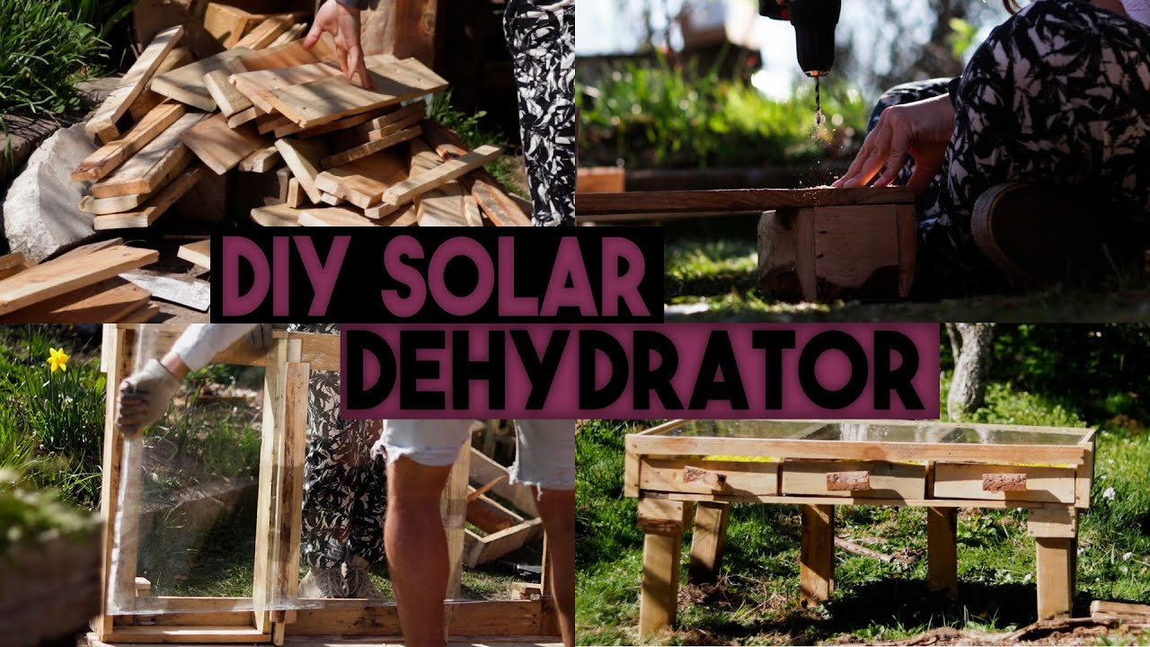 HUGE solar FOOD DRYER DIY built with pallet wood (2022) Ep.11