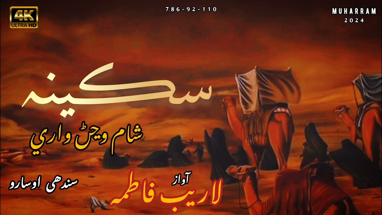 Baba Moklai Sakina Sham | Sindhi Osara | Laraib Fatima | New Noha 2024 | Bibi Sakina ||
