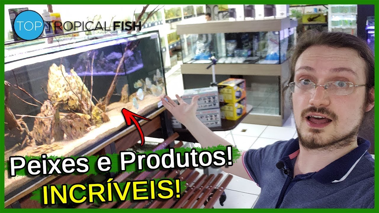 Visitei uma Loja de AQUARISMO! - Top Tropical fish