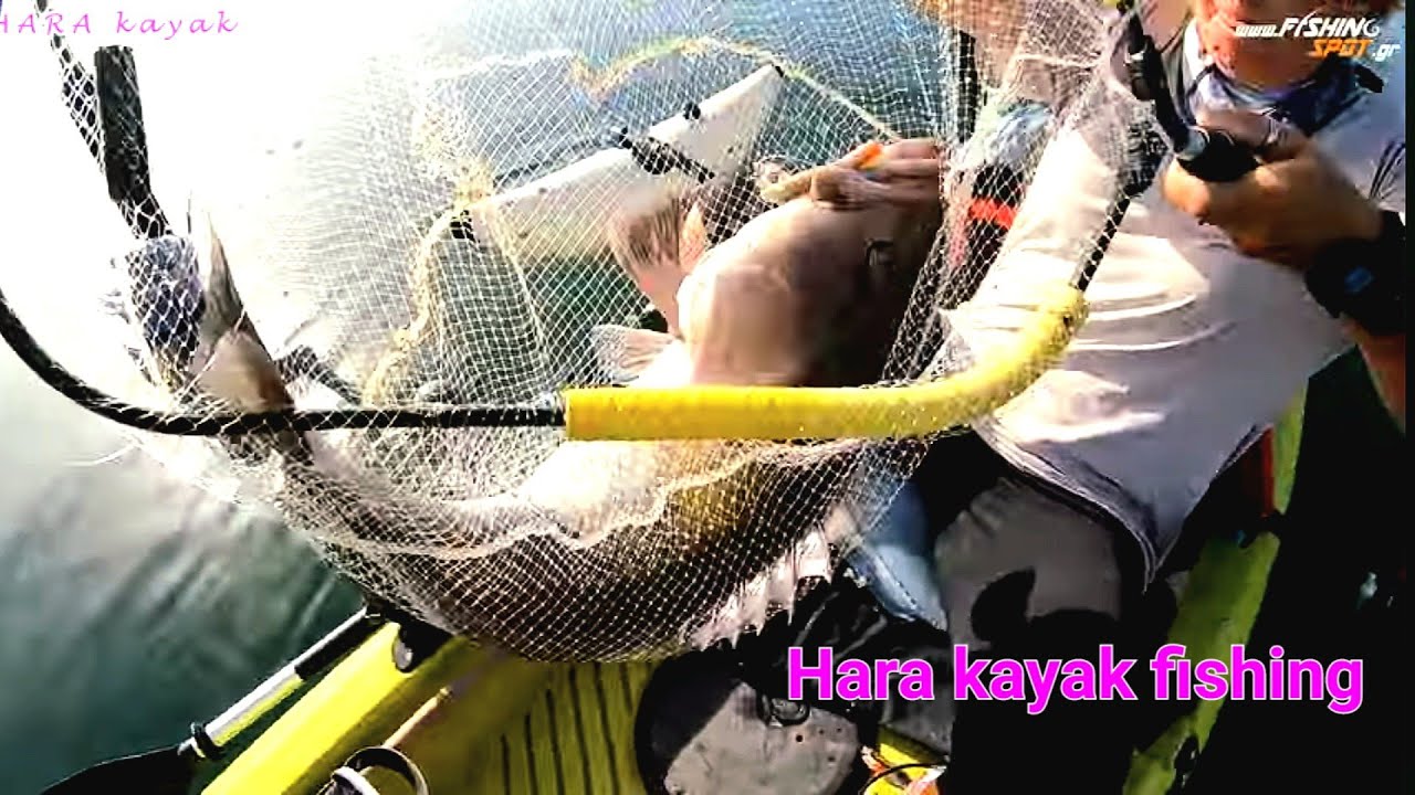 Επιτυχία και στα βαθιά και στα ρηχά  Fish deep and shallow #kayak #fishing  grouper common dentex