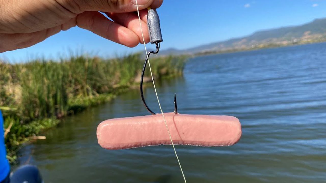 Ser&aacute; Posible Pescar con Salchichas? | Reto de Pesca!!