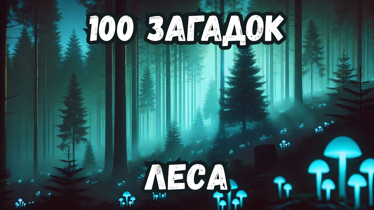 100 фактов о лесах — Засыпайте под науку