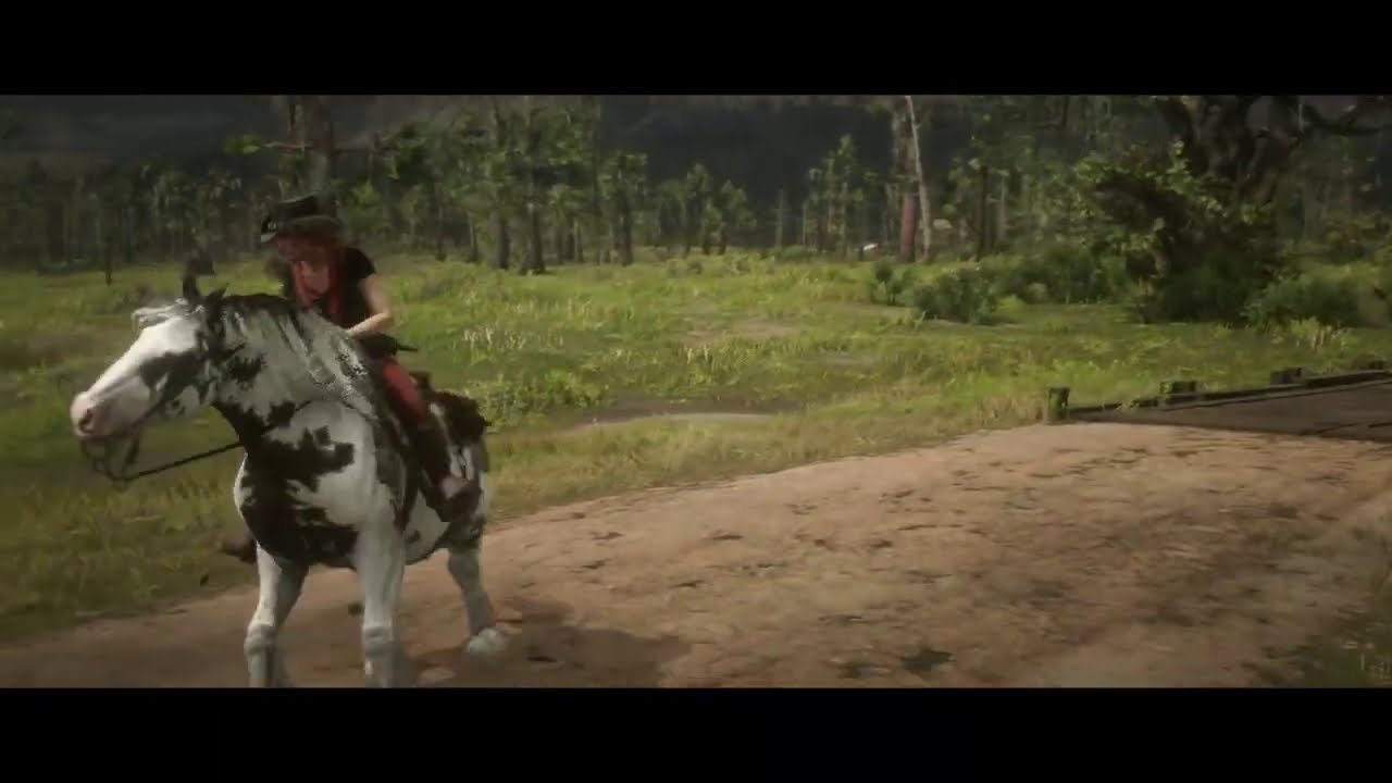 Red Dead Redemption 2 - Freeroam riding Gypsy Cob Splashed Piebald