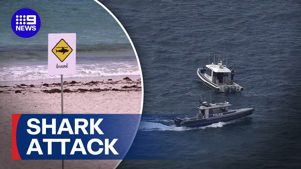 Fatal shark attack at popular Western Australia beach | 9 News Australia