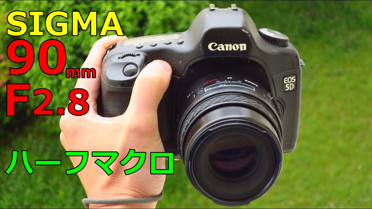 【ジャンク】シグマ ハーフマクロレンズ SIGMA AF MACRO 90mm F2.8 動作検証・作例