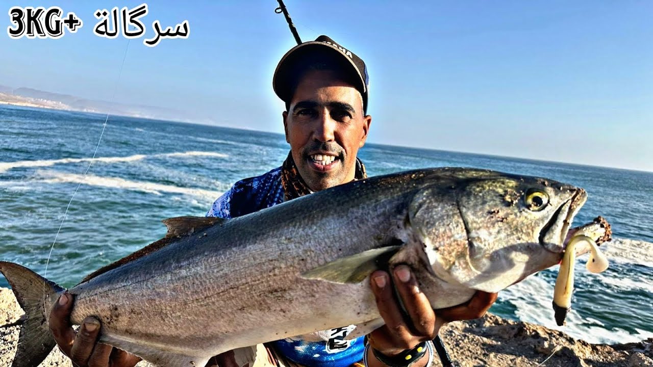 اول تجربة لي مع قصبة ربما تكون من افضل ما جربت للمناطق الصعبة و حصيلة في المستوى 