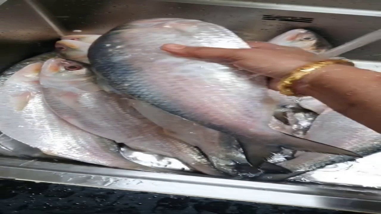আপনি খুব নোংরা মহিলা আপনার রুচি এত খারাপ আমাকে এভাবে অপমানিত কমেন্ট করে কথা গুলি বলা কতটুকু যুক্তিক