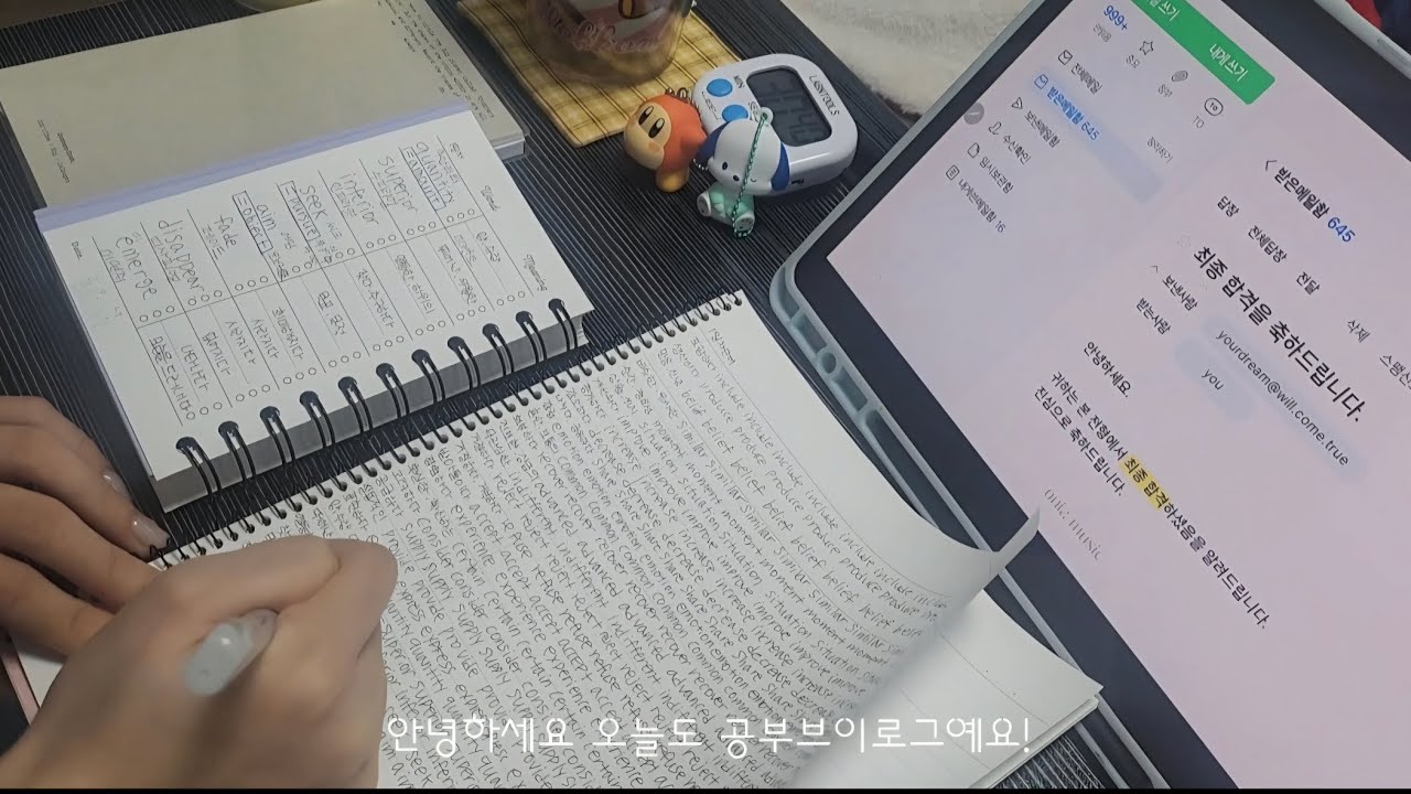 09년생 공부브이로그 / study vlog/검정고시공부