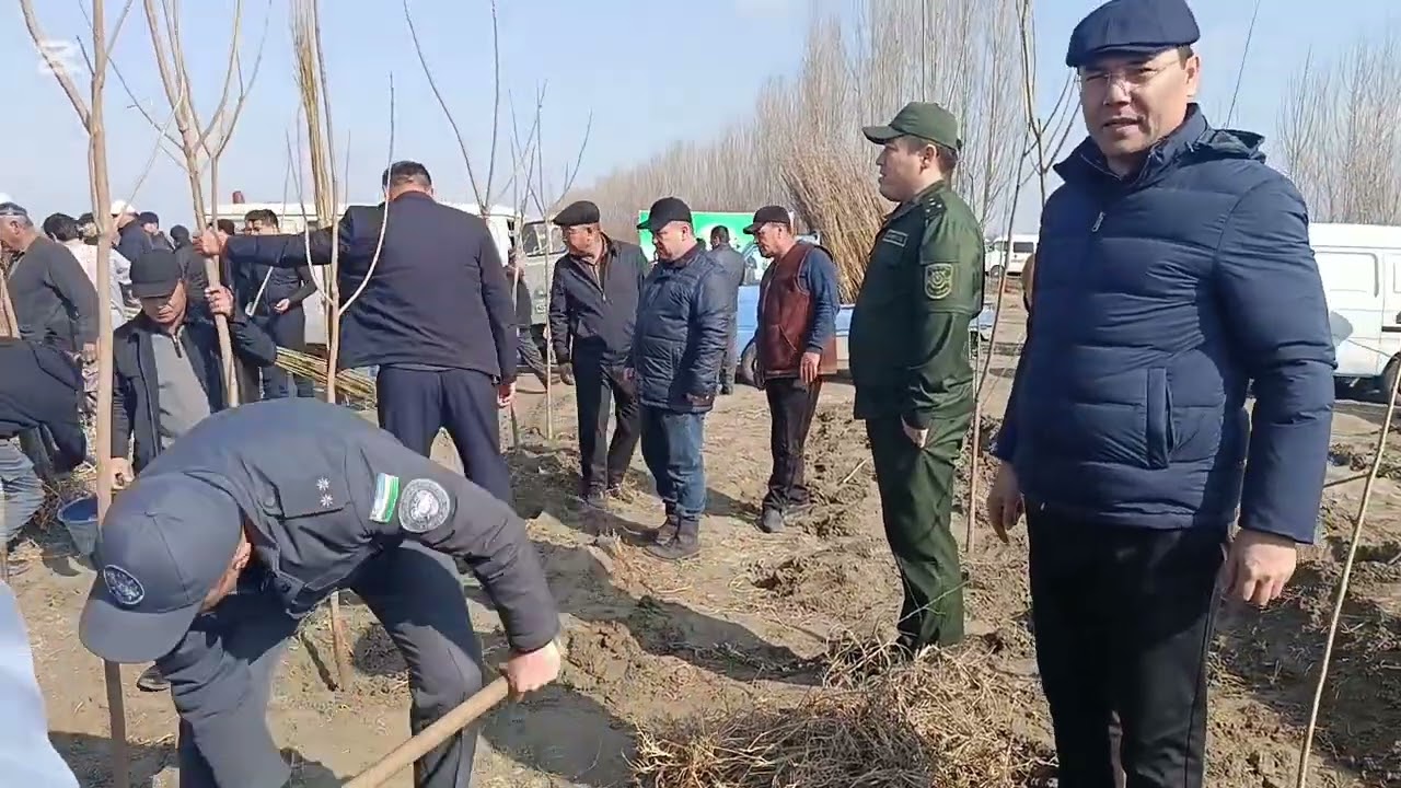 Куштепа туманида Яшил маконди Олга суриш